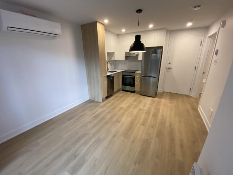 2 1/2 - Montréal (Hochelaga / Maisonneuve) - 1 395 $/mois | 2912866