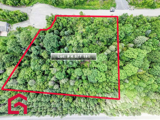 Terrain Résidentiel Sainte-Anne-des-Lacs À Vendre | 2912941