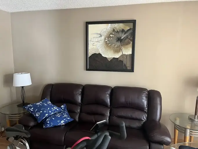 Basement in Edgemont on quiet street close to john laurie BLVD | 81 Edgehill Drive Northwest, Calgary | 2913231