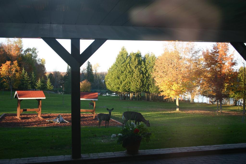 Magnifique Terrain boisé ou bord de l'eau / Location court terme possible : Domaine du Lac Moffatt https://domainedulacmoffatt.com/ | 2913522