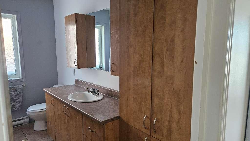 4½ à louer à Drummondville disponible le 1er août à 1230$/mois | 2916769