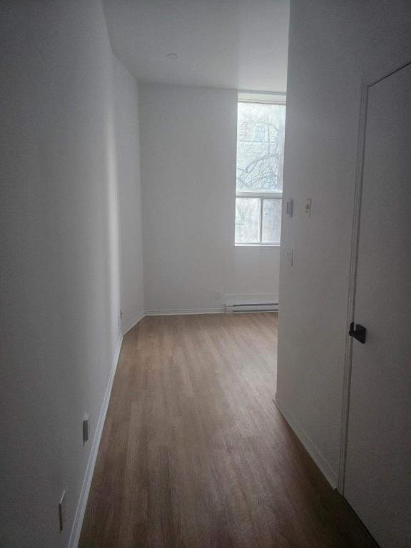 1 CH - 1 SDB - Montréal - $1,245 /mo | 2916770