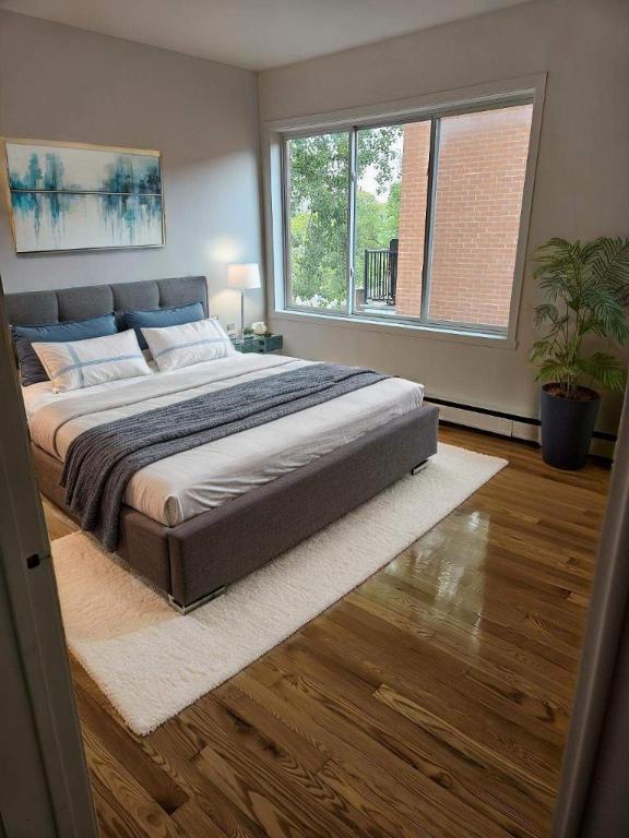 1 CH - 1 SDB - Côte Saint-Luc - $1,350 /mo | 2916776