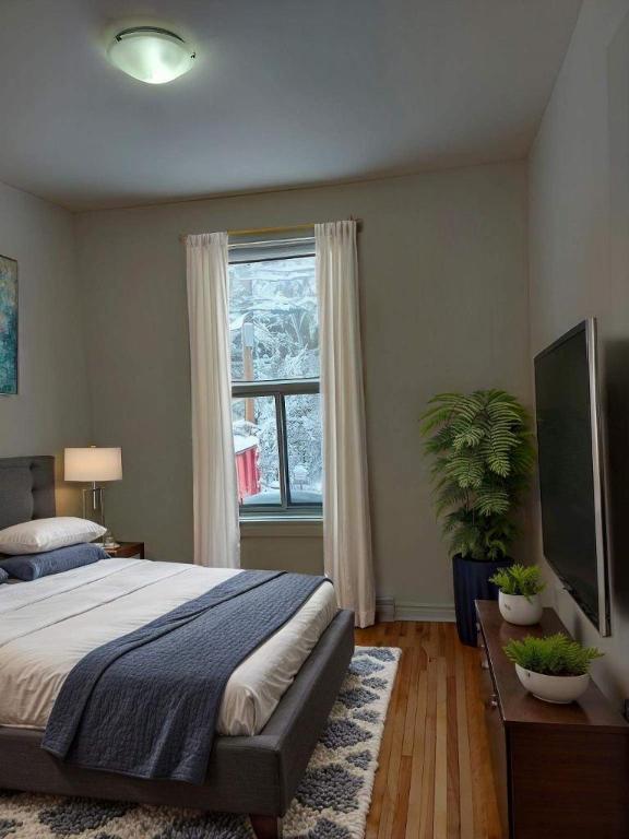 1 CH - 1 SDB - Montréal - $1,350 /mo | 2916778