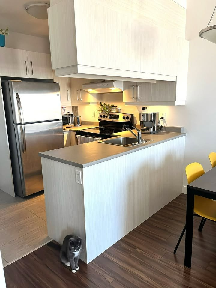 DISPONIBLE LE 1ER AOUT | 2916846