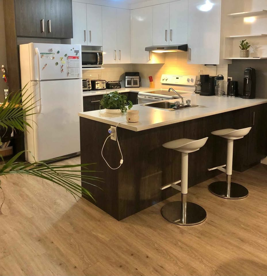 Grand 3 1/2 Disponible Maintenant | 2916852