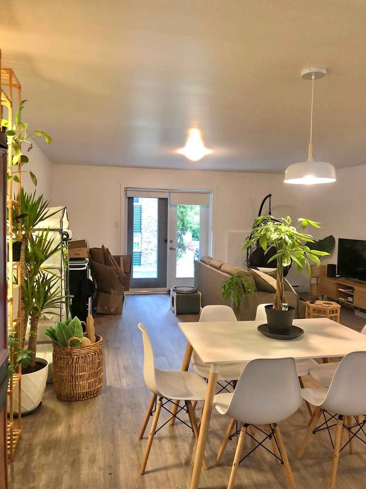 Grand 3 1/2 Disponible Maintenant | 2916852