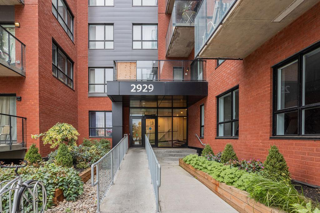 Studio - VICTORIA VICTORIA, Lachine | 2916855