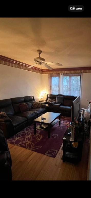 61/2 HAUT DUPLEX,3. C.A.C. | 2917329