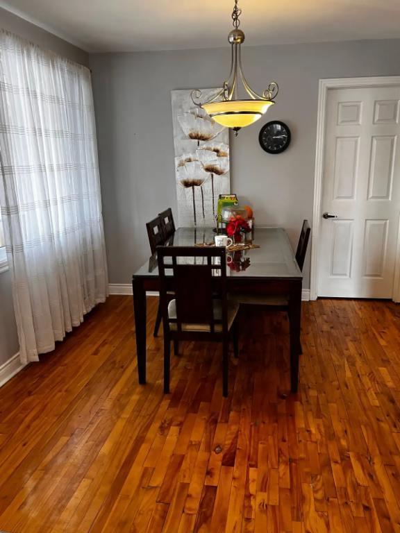 Grand et lumineux 5 1/2 dans un duplex ,Anjou | 2917750