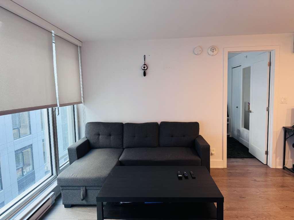 Bel appartement d'une chambre facilement accessible au centre-ville avec un bail d'un an. Si vous êtes intéressé, je peux payer 1 mois de loyer. | 2917760