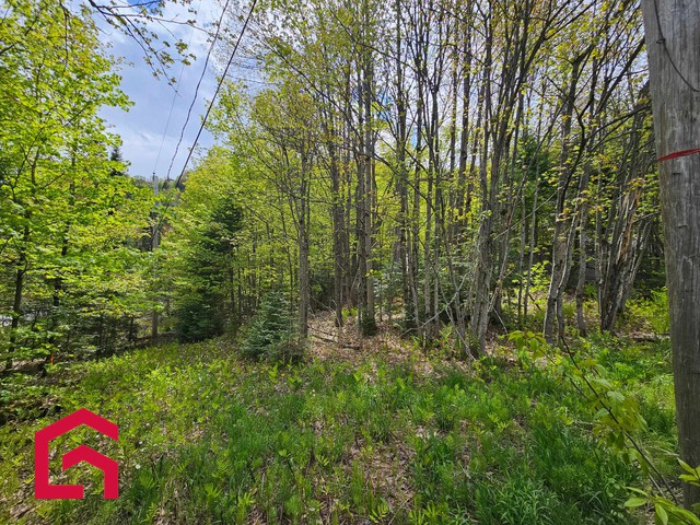 Terrain Résidentiel Sainte-Agathe-des-Monts À Vendre | 2917796