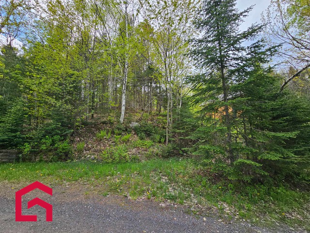 Terrain Résidentiel Sainte-Agathe-des-Monts À Vendre | 2917796
