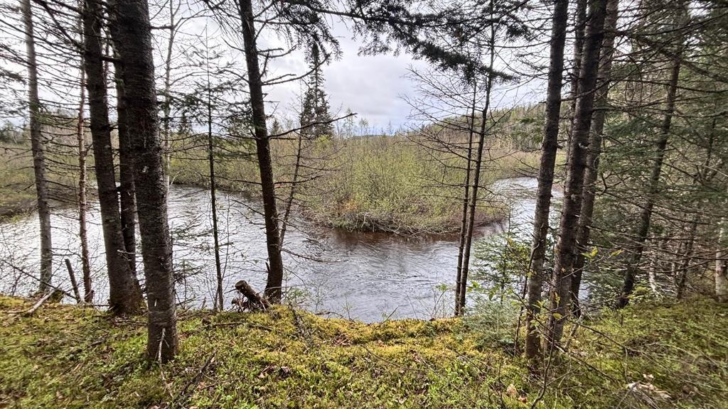 Terrain à vendre au bord d’une petite rivière | 2918004