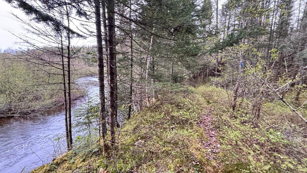 Terrain à vendre au bord d’une petite rivière | 2918004