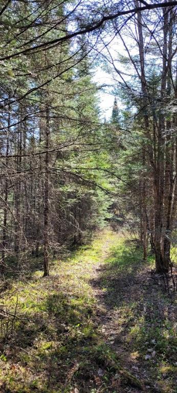 Terrain à vendre au bord d’une petite rivière | 2918004