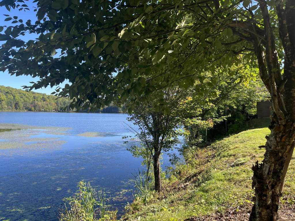 Terrain en bord de lac à vendre – 155 pieds linéaires donnant sur le lac Saint-Charles | 2918005
