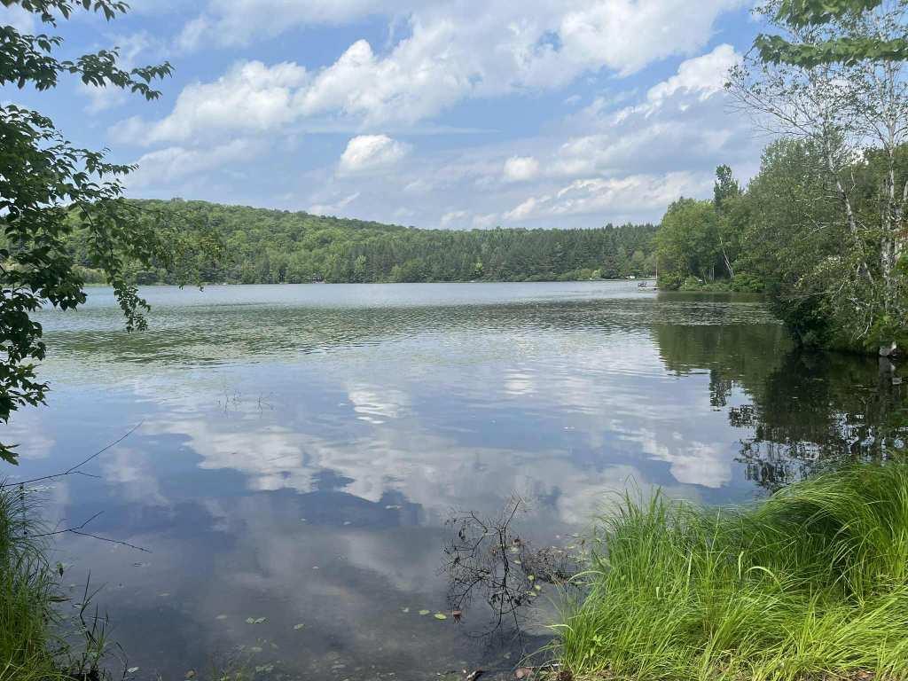 Terrain en bord de lac à vendre – 155 pieds linéaires donnant sur le lac Saint-Charles | 2918005