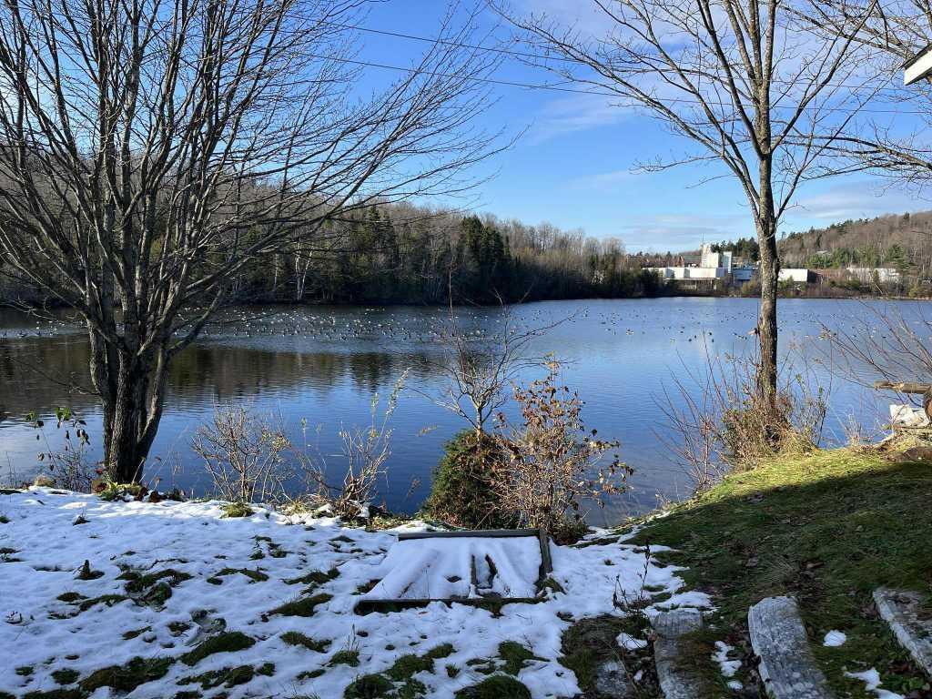 Terrain en bord de lac à vendre – 155 pieds linéaires donnant sur le lac Saint-Charles | 2918005