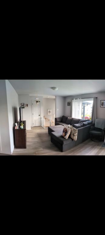 Appartement 4 1/2 Drummondville, animaux acceptés | 2919764