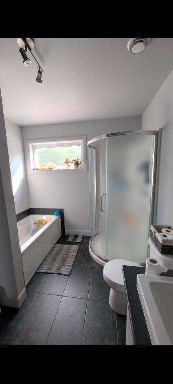 Appartement 4 1/2 Drummondville, animaux acceptés | 2919764
