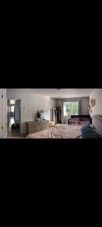 Appartement 4 1/2 Drummondville, animaux acceptés | 2919764