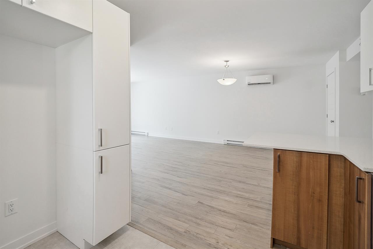 65 Rue Dupuis (Gatineau) Magnifique 4 1/2 | 3225676