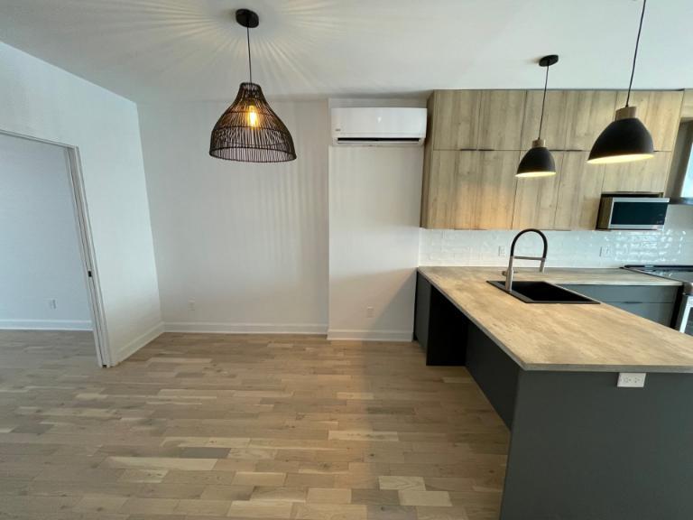 5 1/2 - Montréal (Villeray) - 2 700 $/mois | 2920276