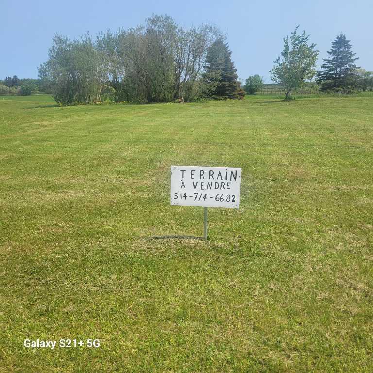 Grand terrain prêt à construire | 2920623