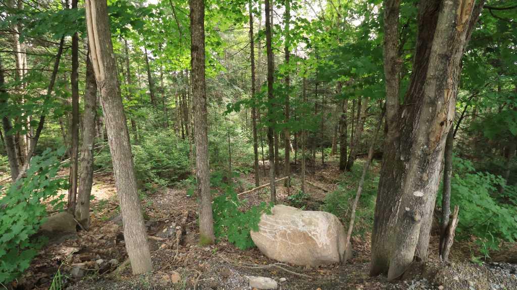 Terrain à vendre - 2,45  acres – Zoné fermette | 2933361