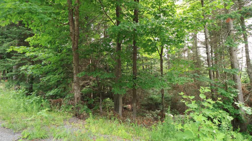 Terrain à vendre - 2,45  acres – Zoné fermette | 2933361