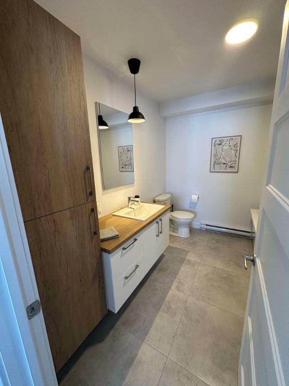 Logement à louer Lac Etchemin | 2922321