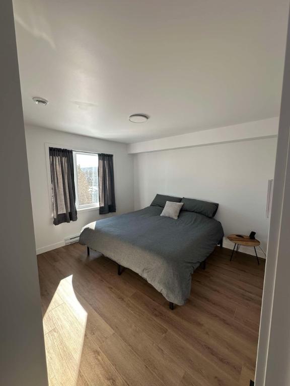 Logement à louer Lac Etchemin | 2922321