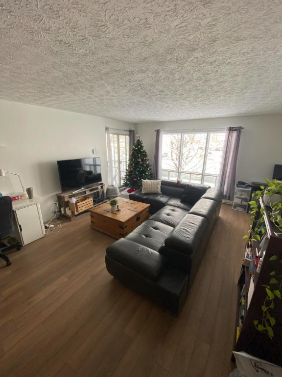1 SEPTEMBRE / 3 1/2 STYLE CONDO SECTEUR UNIVERSITÉ-MONT BELLEVUE | 2922325