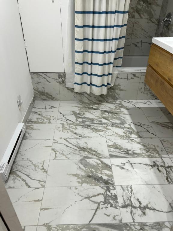 Grand 3 ½ disponible dès maintenant 2025 – Mercier Est 1350 $ | 2922340