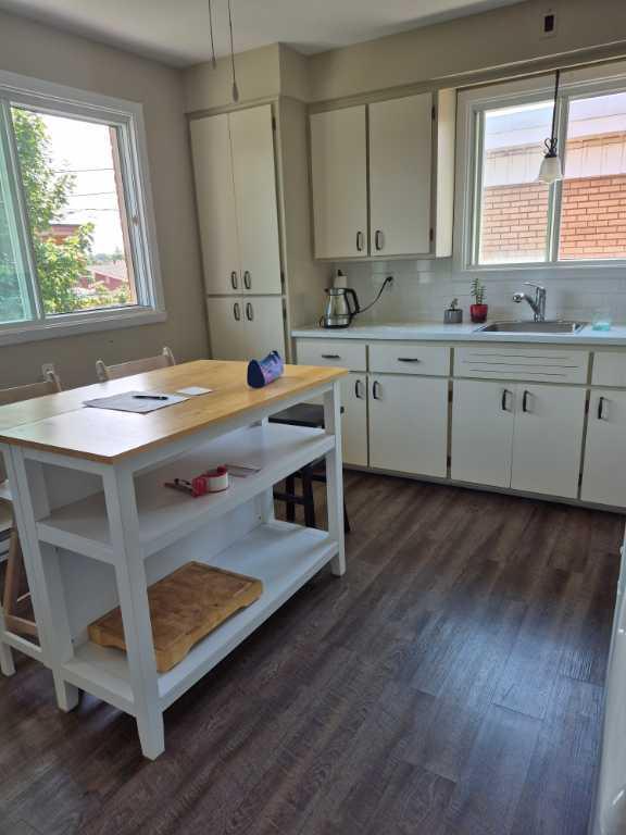Appartement à louer 5 1/2, 1250$ | 2922343