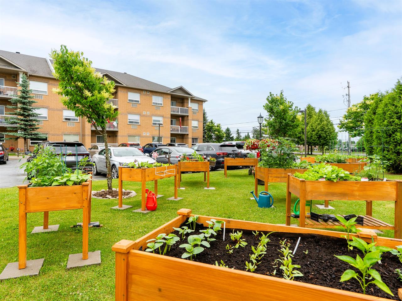 Notre Dame Apartments | 2922516