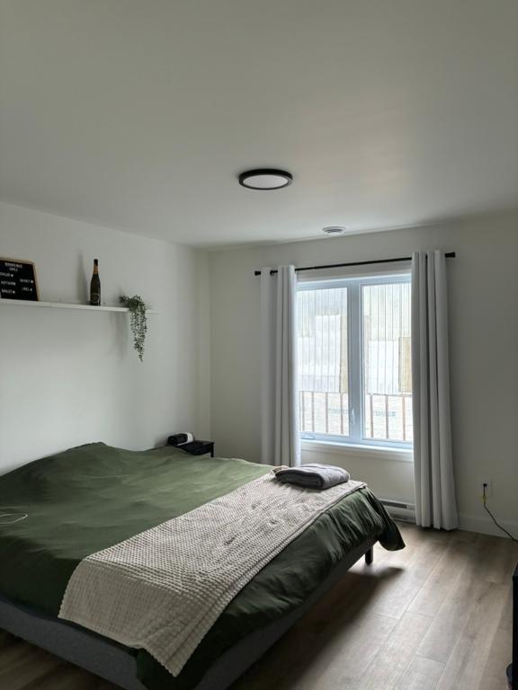 4 1/2 neuf PET FRIENDLY | 2922822