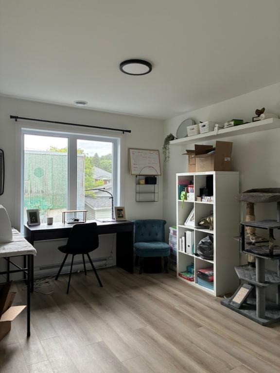 4 1/2 neuf PET FRIENDLY | 2922822