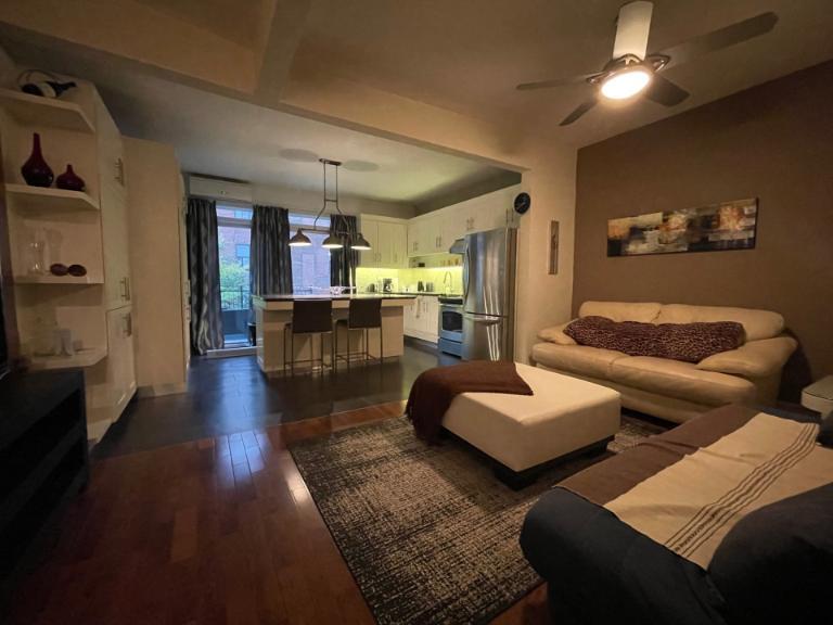 3 1/2 - Montréal (Hochelaga / Maisonneuve) - 1 750 $/mois | 2922849