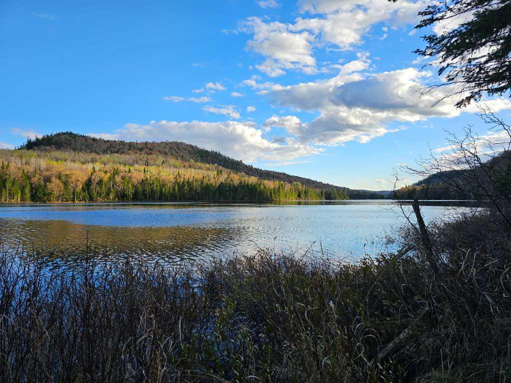 Terrain à vendre au Lac Miguick | 2923328