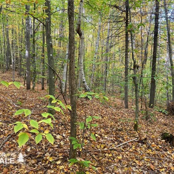 5 lots résidentiels à vendre/ 5 residential lots for sale | 2925672
