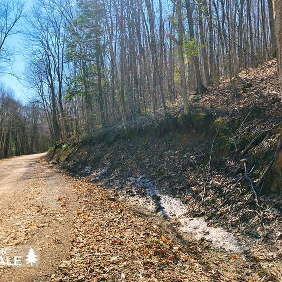 5 lots résidentiels à vendre/ 5 residential lots for sale | 2925672