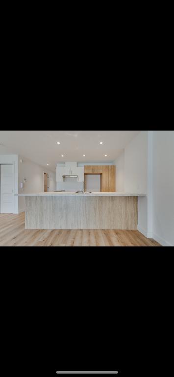 🏡 Grand 4 ½ moderne à louer – Rue Flavie-Poirier – 1 550 $/mois 🏡 🎉 PROMO: 1er loyer gratuit si vous aménager pour le 1er août! | 2927418