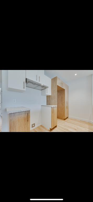 🏡 Grand 4 ½ moderne à louer – Rue Flavie-Poirier – 1 550 $/mois 🏡 🎉 PROMO: 1er loyer gratuit si vous aménager pour le 1er août! | 2927418
