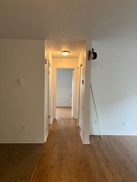 BEAU 4 ½ | MONT-BELLEVUE|AOÛT | 2927458