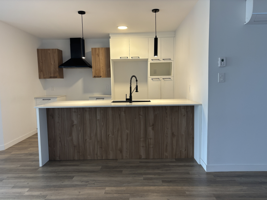 MAGNIFIQUE 4 ½ | CONSTRUCTION RÉCENTE | 2927462