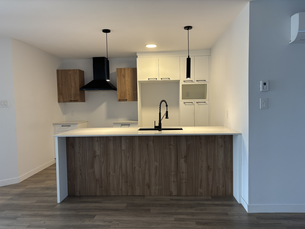 MAGNIFIQUE 4 ½ | CONSTRUCTION RÉCENTE | 2927462
