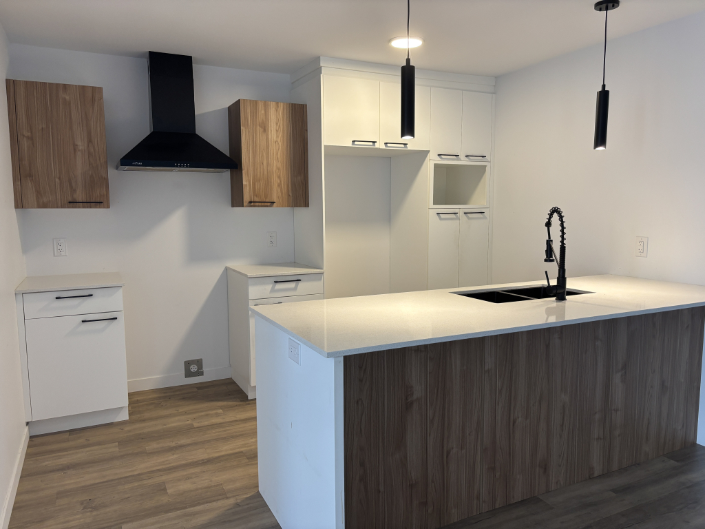 MAGNIFIQUE 4 ½ | CONSTRUCTION RÉCENTE | 2927462