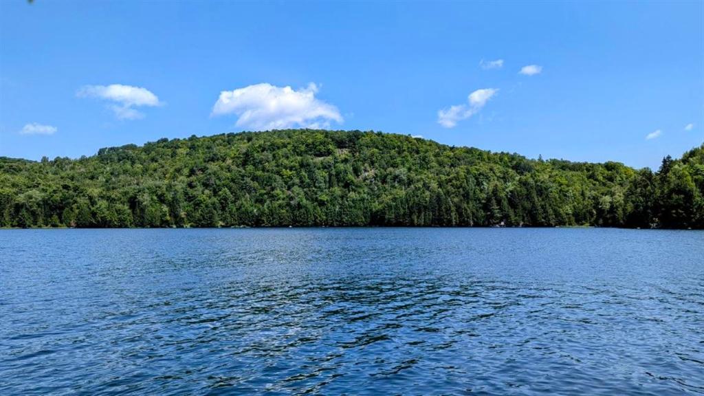 Laurentides, Petit terrain au bord de l'eau à Montcalm (municipalité), lac des Pins, 29 000$, corridor aérobique | 2927750